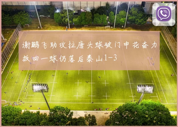谢鹏飞助攻拉唐头球破门申花奋力扳回一球仍落后泰山1-3
