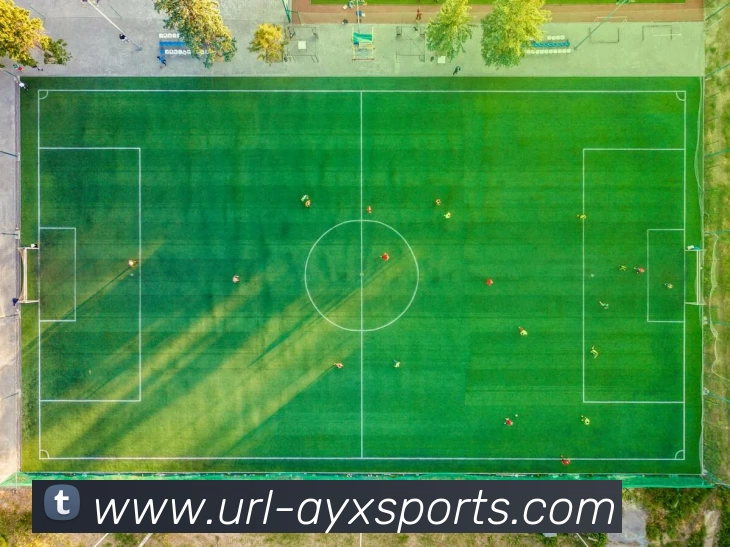 爱游戏服务体系